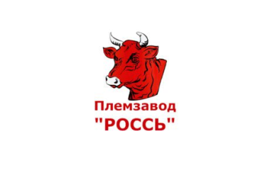 Россь. Обзор тушенки